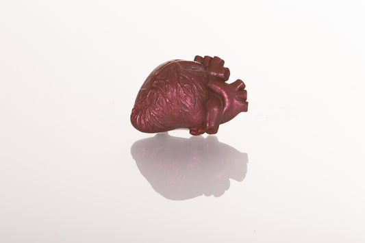Anatomical Heart