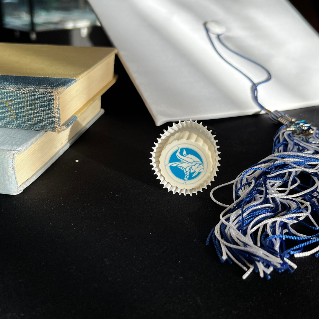 Graduation Truffles