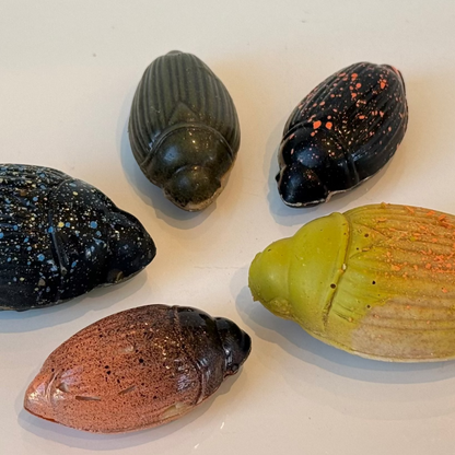 Cocoa Beetles - Coraline Zanzibar
