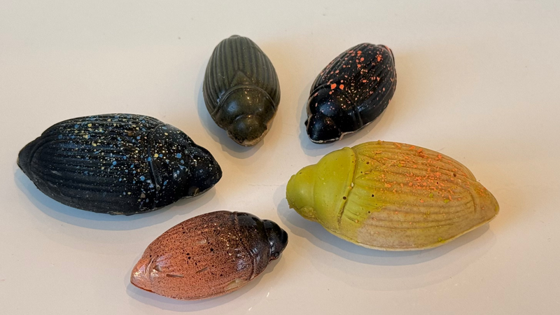 Cocoa Beetles - Coraline Zanzibar