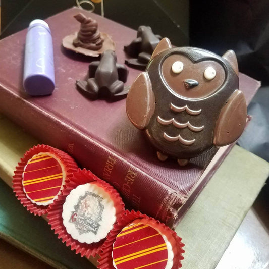 Limited Edition 20th Anniversary Harry Potter Box