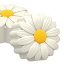 Daisy Chocolate Covered Cookie