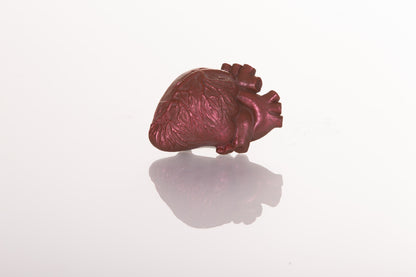 Anatomical Heart